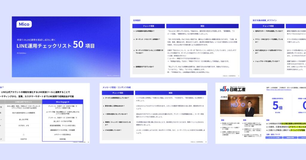 Mico DL 13 LINECheckList